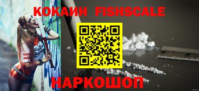 индика Можга