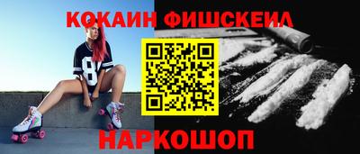 индика Можга