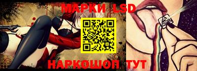 индика Можга