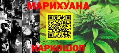 индика Можга