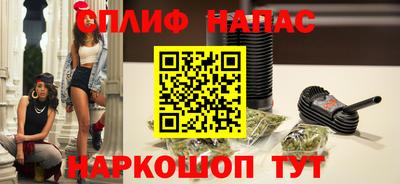 индика Можга