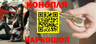 индика Можга