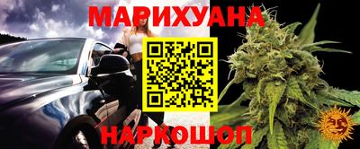 индика Можга