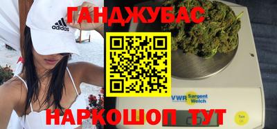 индика Можга