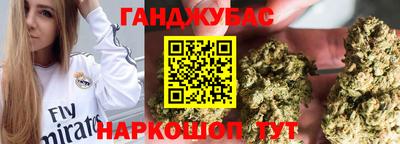 индика Можга
